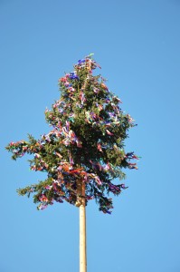 Stavanie mája 2016 - 3